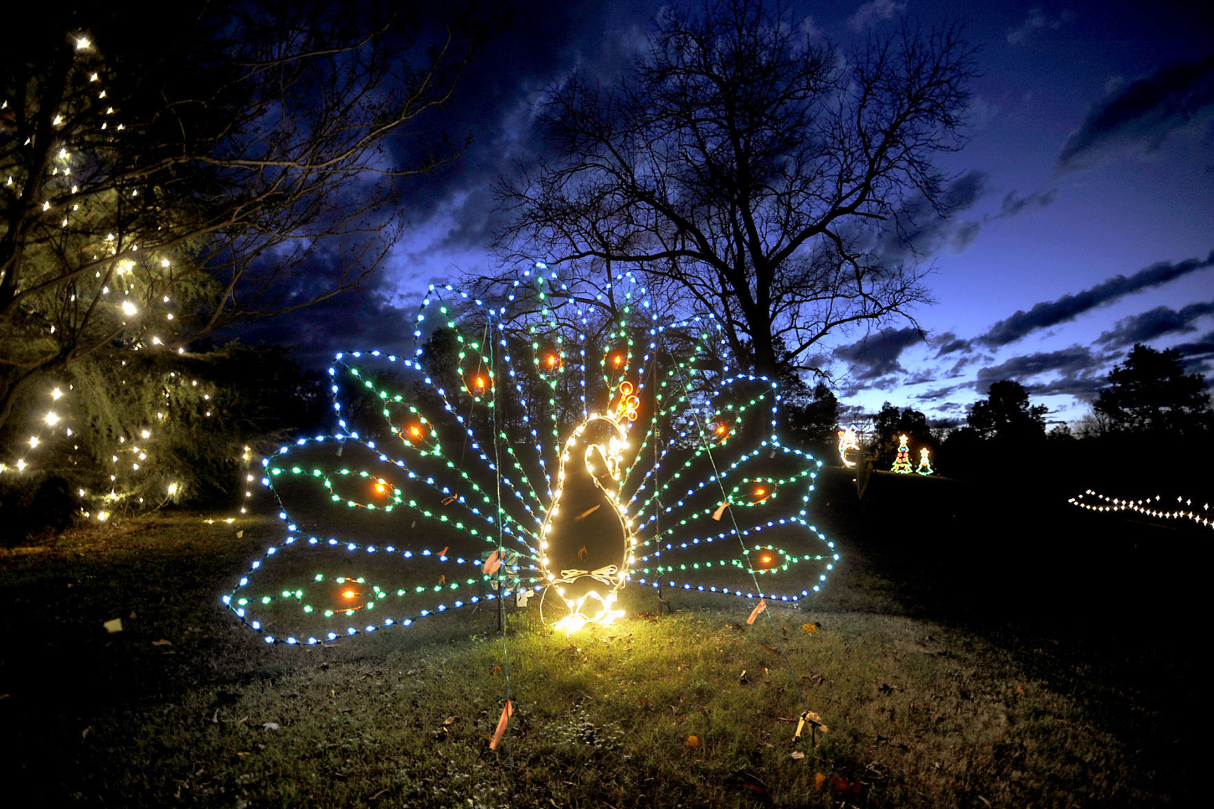 FESTIVAL OF LIGHTS 2008